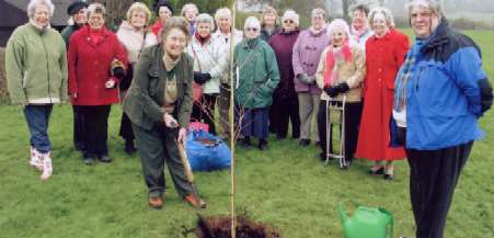 Royal British Legion Women's Section planting a tree to commemorate their 60th anniversary in 2007