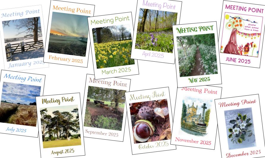 2025 collage of Meeting Point covers